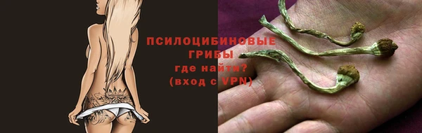 мет Баксан