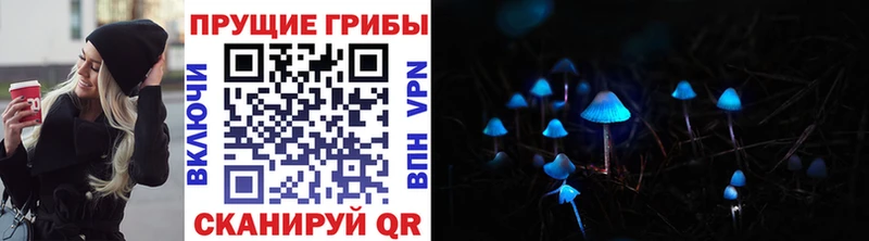 Галлюциногенные грибы мицелий  Купить где  Гороховец 